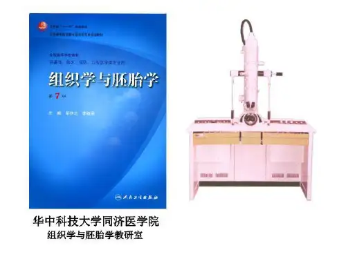 组织学绪论2 PP课件