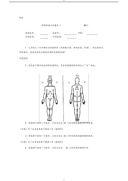 简明疼痛评估量表(BPI)