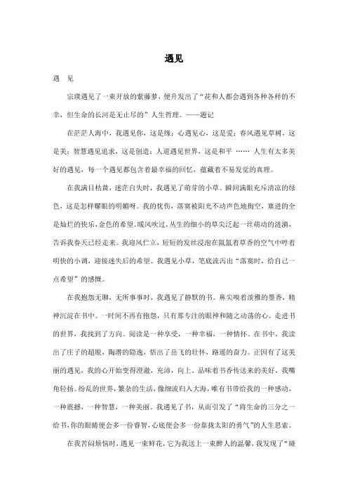 遇见_初中初二作文800字