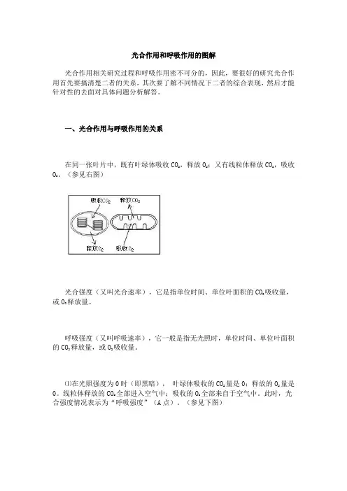 光合作用和呼吸作用的图解 2