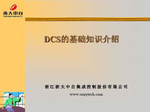 DCS的基础知识