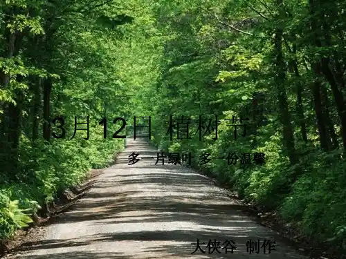 植树节主题班会PPT