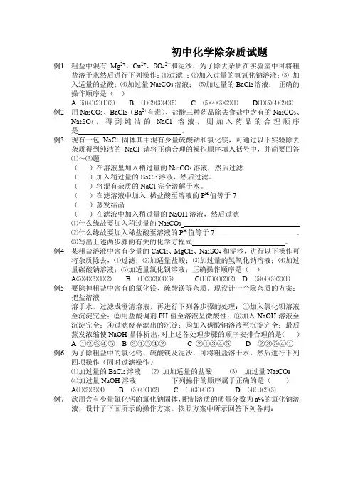 初中化学除杂质试题