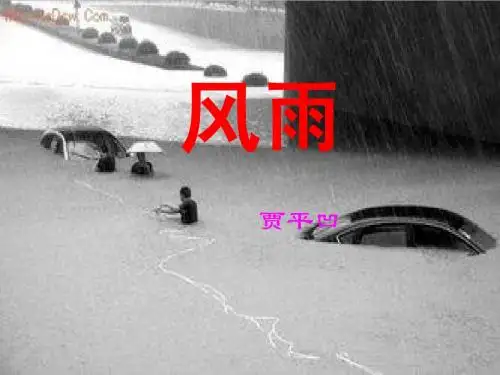贾平凹《风雨》