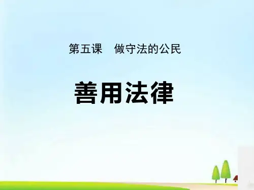 《善用法律》PPT课件