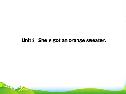 外研版三年级英语下册Module10Unit2She’sgotanorangesweater作业课件