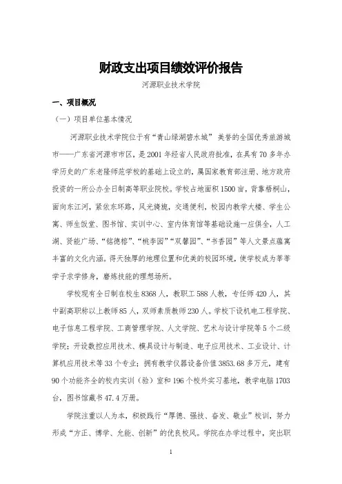 河源职业技术学院绩效自评报告2
