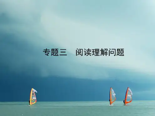 山东东营市2018届中考数学复习:专题(3)阅读理解问题课件(含答案)