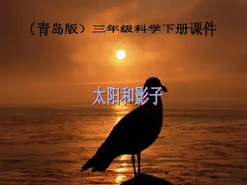 三年级科学下册 太阳和影子ppt课件