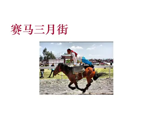 湘教版语文五下《赛马三月街》公开课课件