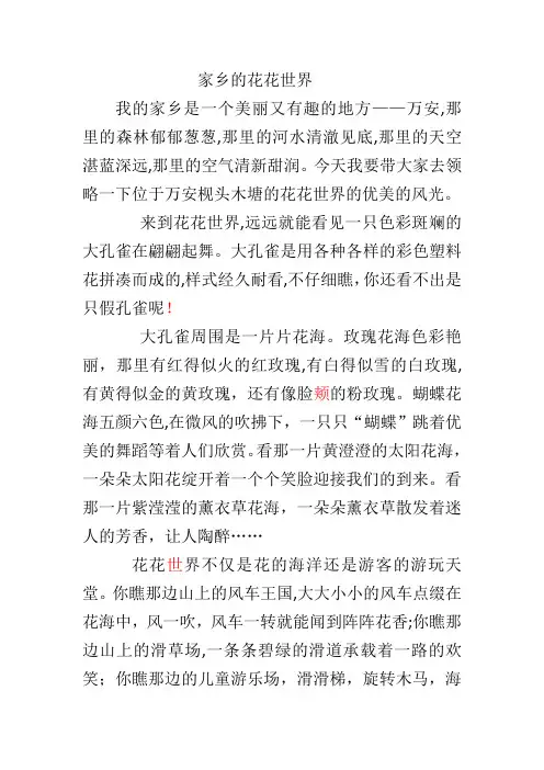 家乡的花花世界