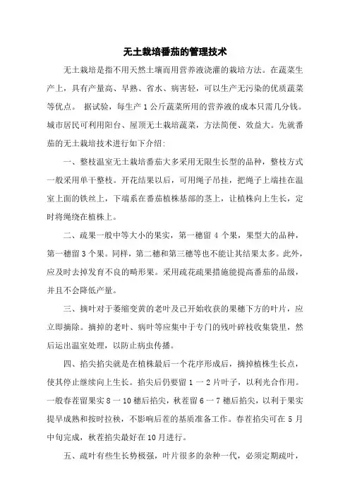 无土栽培番茄的管理技术