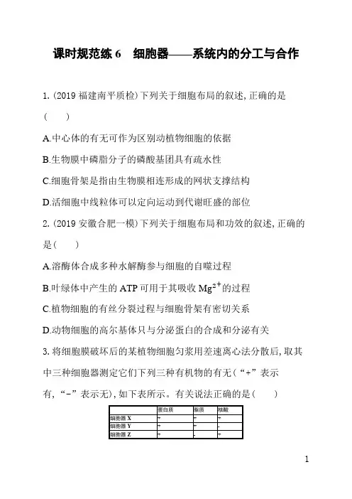 人教版高三生物课后习题(含答案)课时规范练6细胞器——系统内的分工与合作