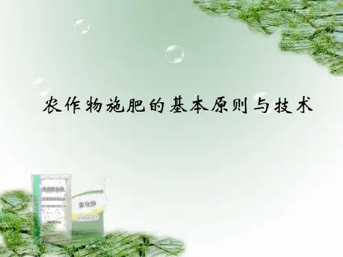 水稻施肥技术
