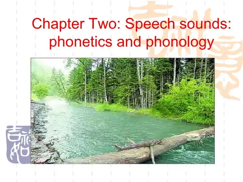 语言学教程课件2 Speech sounds