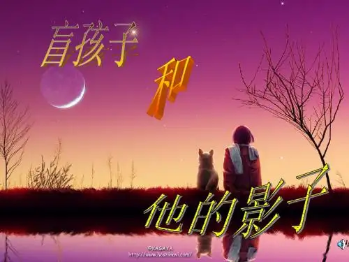 《盲孩子和他的影子》 ppt课件