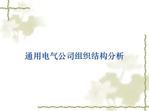 通用电气公司组织结构分析