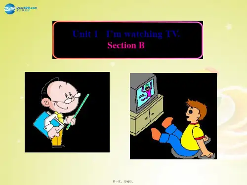 七年级英语上册 Unit 1 I’m watching TV Section B课件 鲁教版
