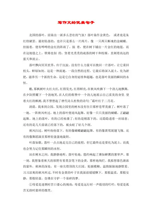 写作文的优美句子