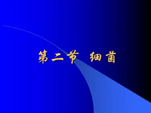 八年级生物细菌