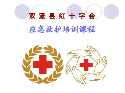 心肺复苏(1) - 副本