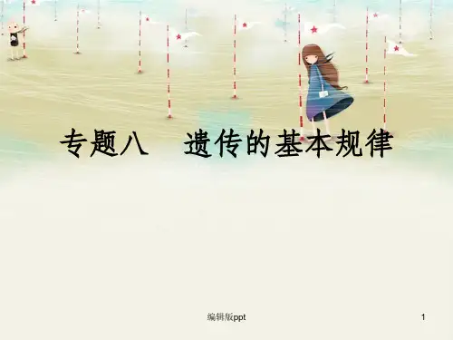 人教版高中生物《遗传的基本规律》精品