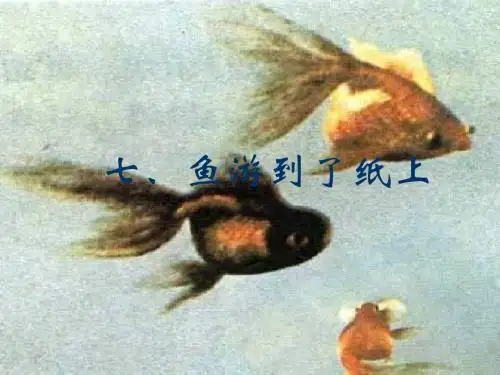 鱼游到纸上(人教版四年级下册PPT)