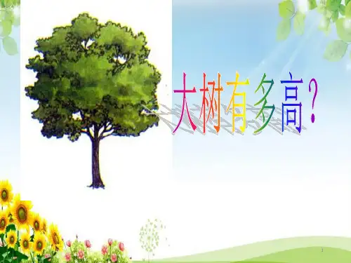大树有多高