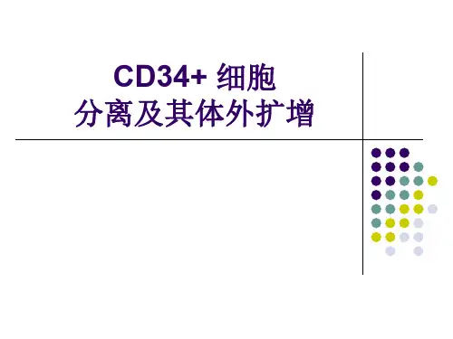 CD34+细胞及分离方法