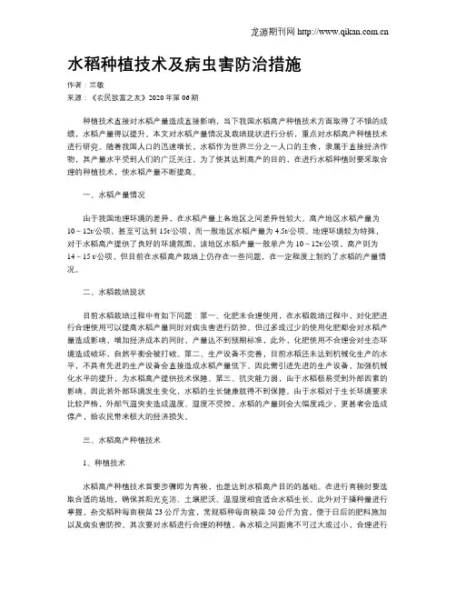 水稻种植技术及病虫害防治措施