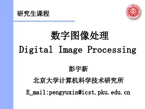 DPCM-北京大学计算机科学技术研究所