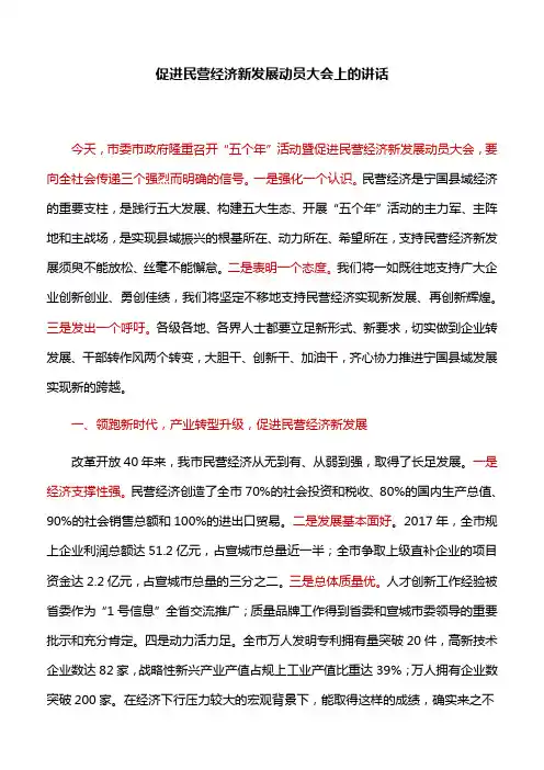【讲话稿】促进民营经济新发展动员大会上的讲话