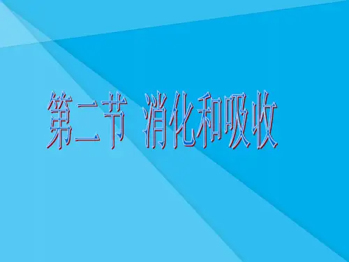 消化和吸收PPT课件26 人教版优秀课件
