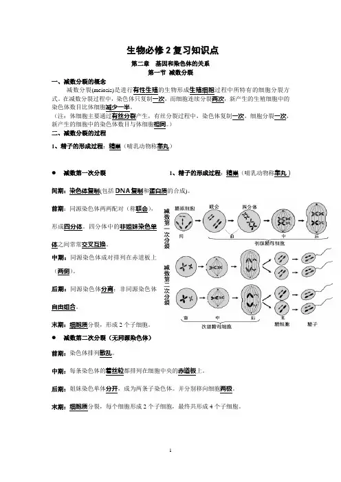高中生物必修二知识点总结(精华版)