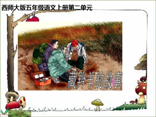 藏羚羊的故事