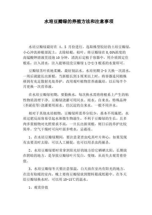 水培豆瓣绿的养殖方法和注意事项