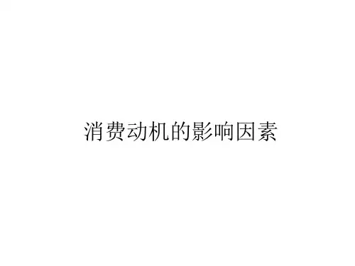 消费动机影响因素分析PPT精选文档