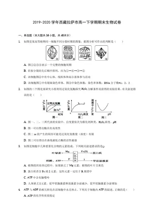 2019-2020学年西藏拉萨市高一下学期期末生物试卷(含答案解析)