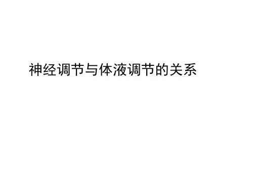 神经调节与体液调节的关系 课件