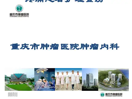 癌性疼痛护理教学查房