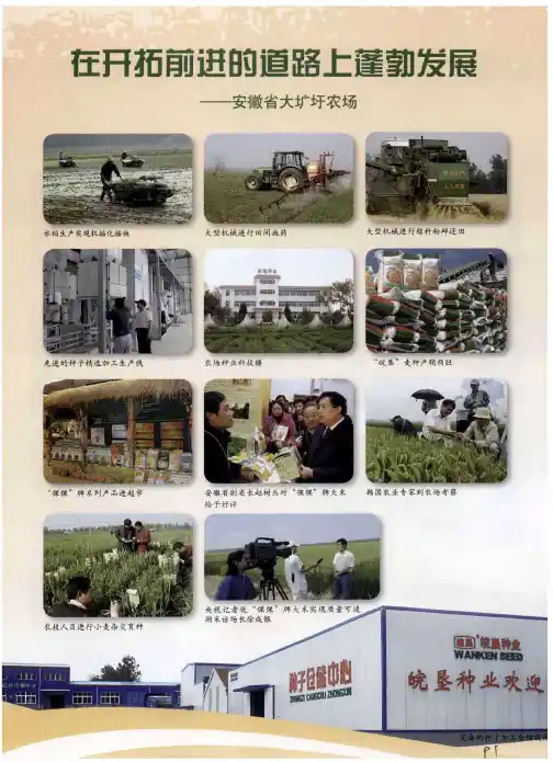 在开拓前进的道路上蓬勃发展——安徽省大圹圩农场