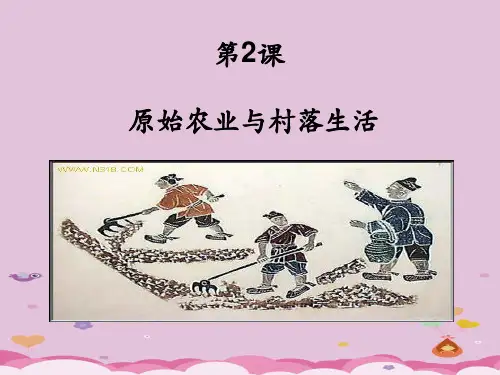 原始农业与村落生活PPT课件9 岳麓版优秀课件