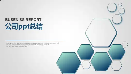 公司ppt总结