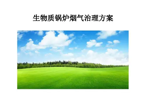 生物质烟气治理