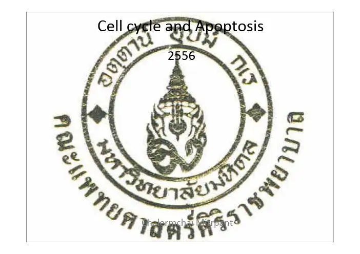Cell cycle and Apoptosis - Siriraj Hospital：细胞周期和细胞凋亡- Siriraj医院