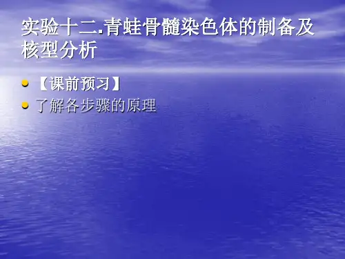 实验十二.青蛙骨髓染色体的制备及核型分析