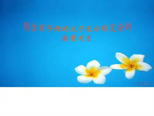 用含有字母的式子表示稍复杂的数量关系-_化学_自然科学_专业资料