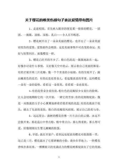 关于樱花的唯美伤感句子表达爱情带有图片
