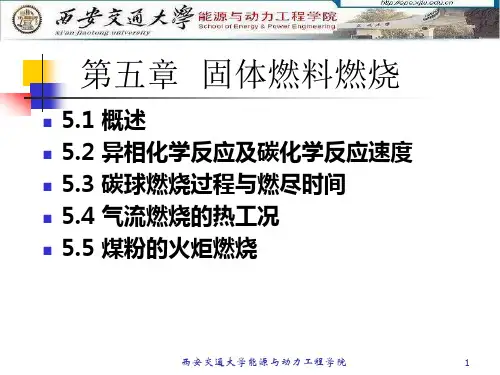 燃烧学讲义2010-第五章固体