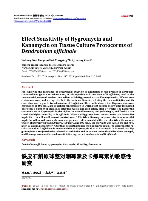 铁皮石斛原球茎对潮霉素及卡那霉素的敏感性研究